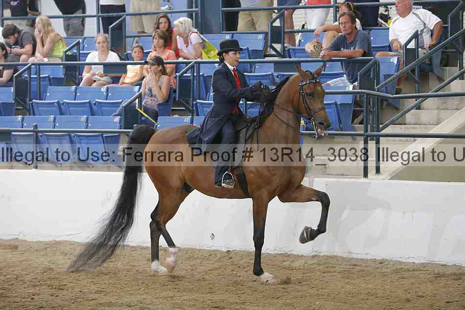 Proof Number 13r14_3038
