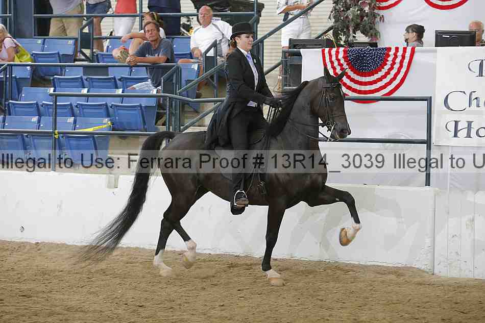 Proof Number 13r14_3039