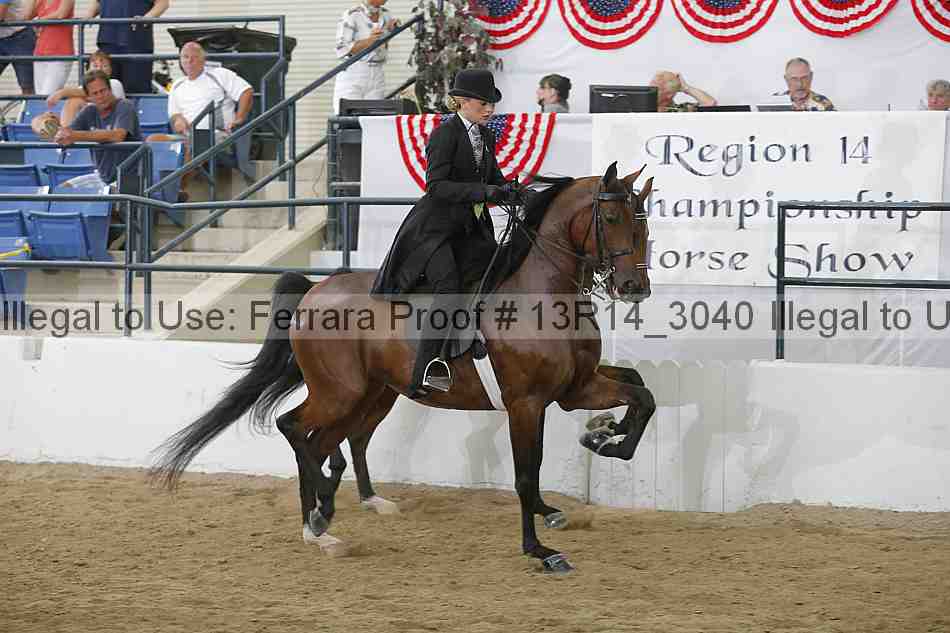 Proof Number 13r14_3040