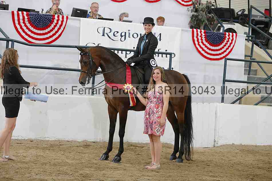 Proof Number 13r14_3043