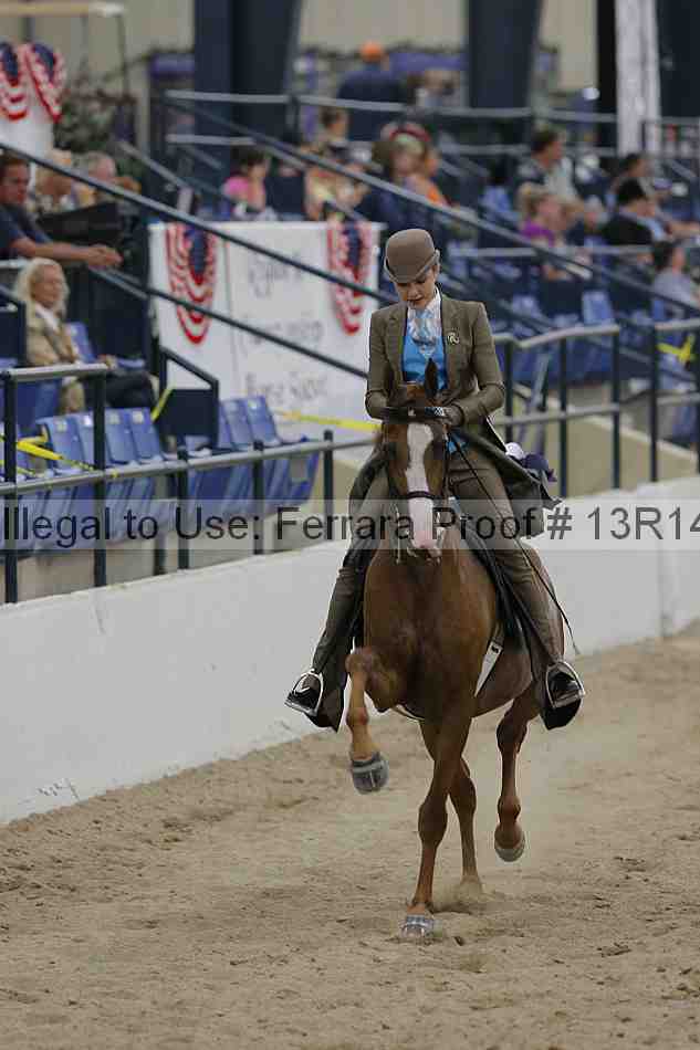 Proof Number 13r14_3055