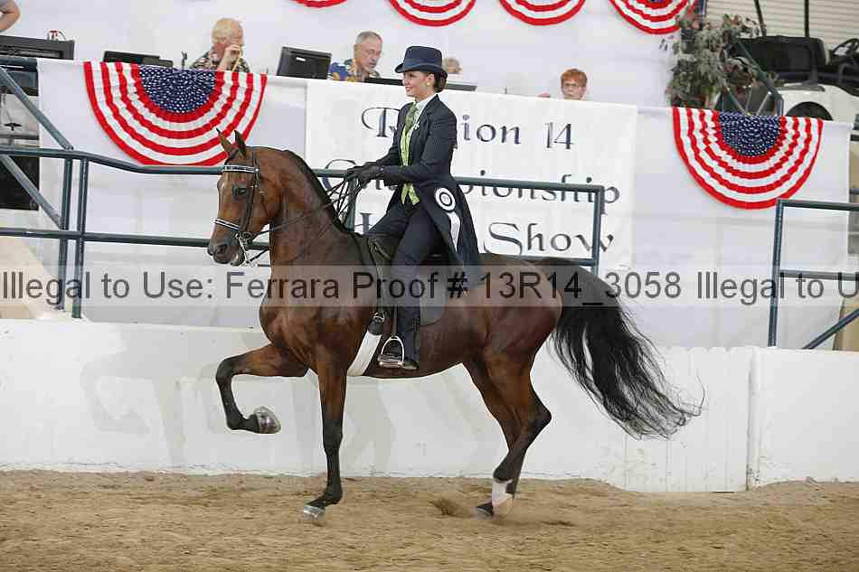 Proof Number 13r14_3058