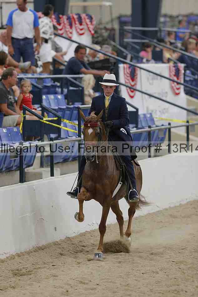 Proof Number 13r14_3059