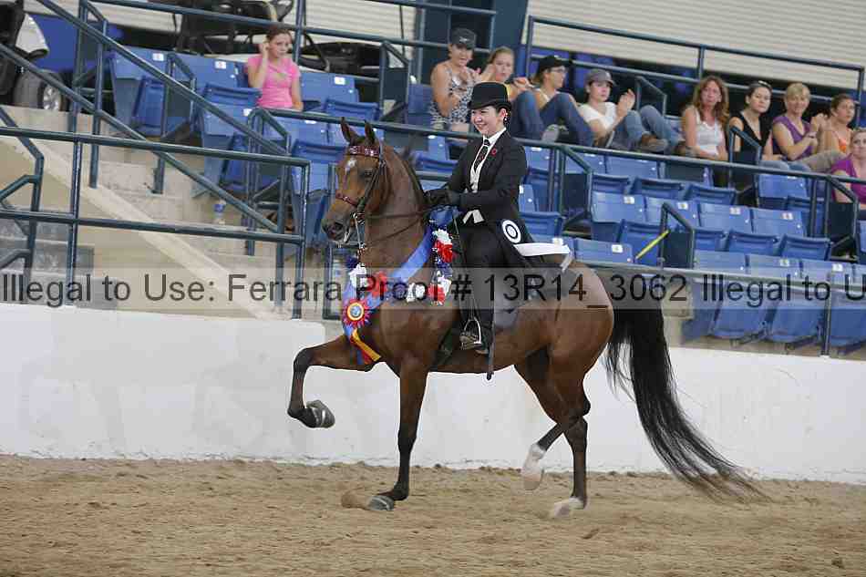 Proof Number 13r14_3062