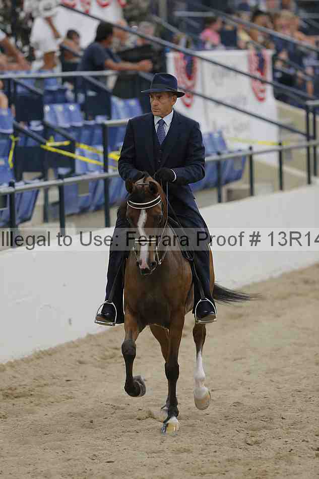 Proof Number 13r14_3087