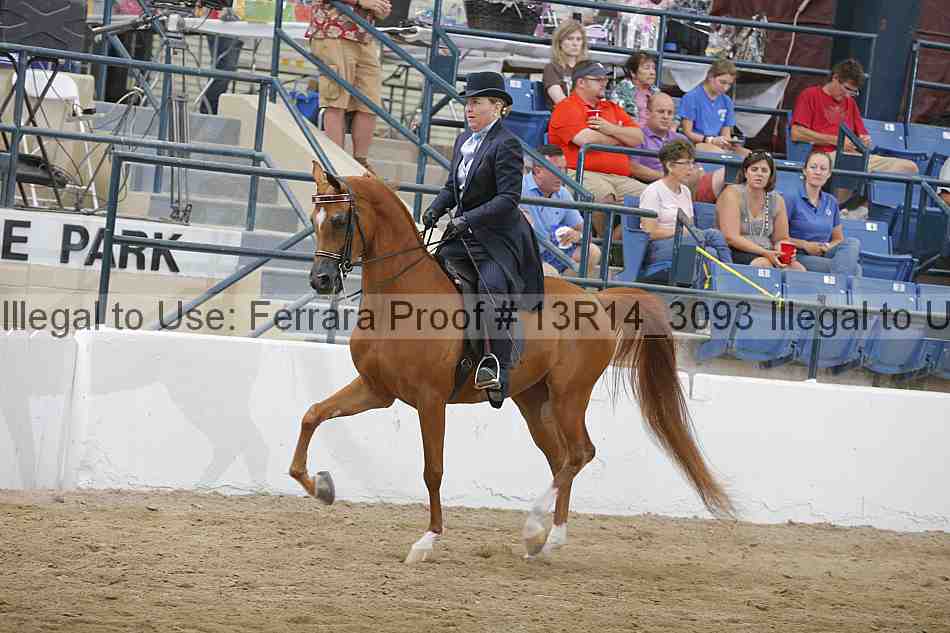 Proof Number 13r14_3093