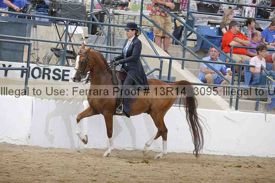 Proof Number 13r14_3095