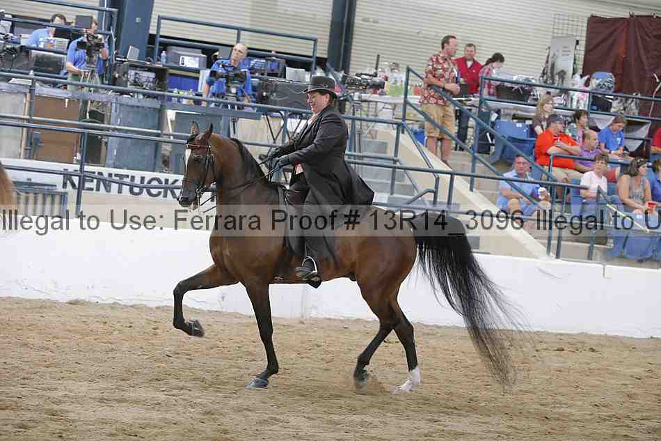 Proof Number 13r14_3096