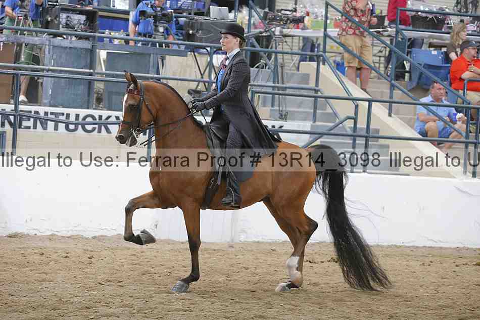 Proof Number 13r14_3098