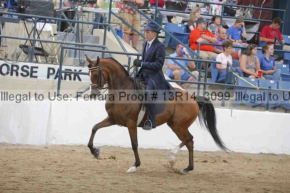 Proof Number 13r14_3099
