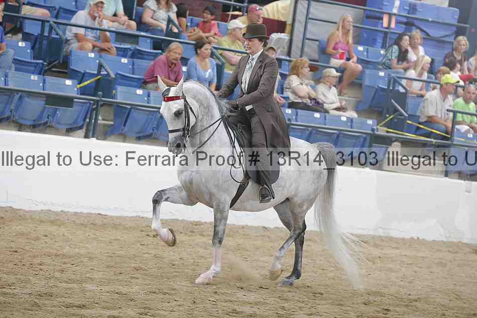 Proof Number 13r14_3103