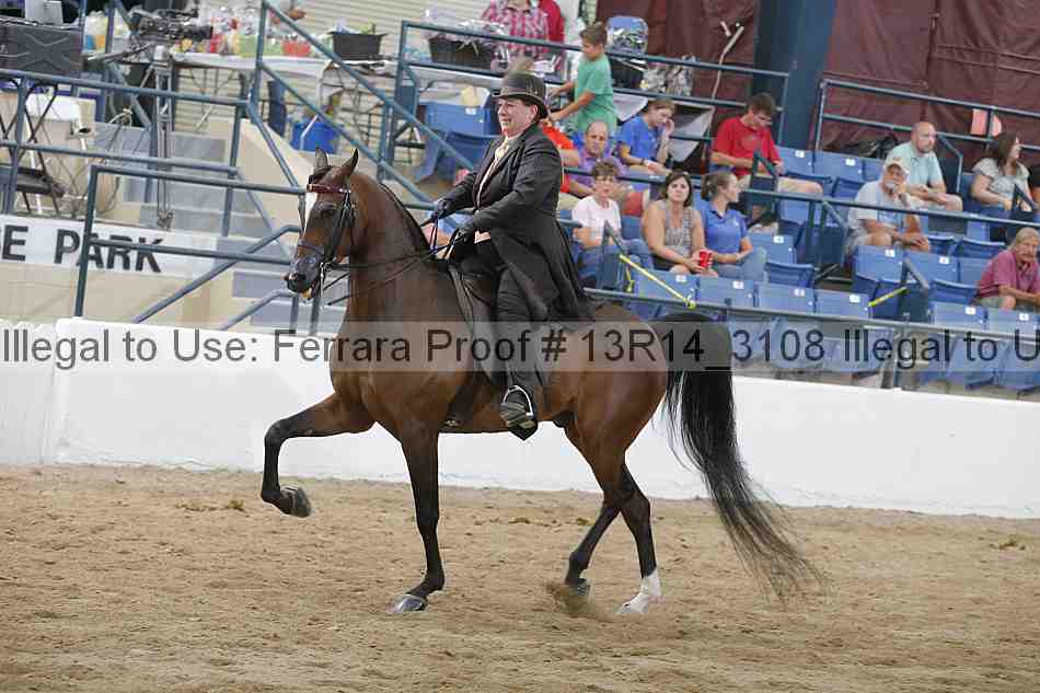 Proof Number 13r14_3108