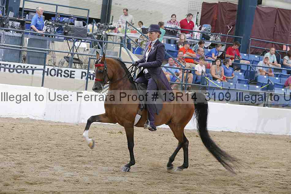Proof Number 13r14_3109