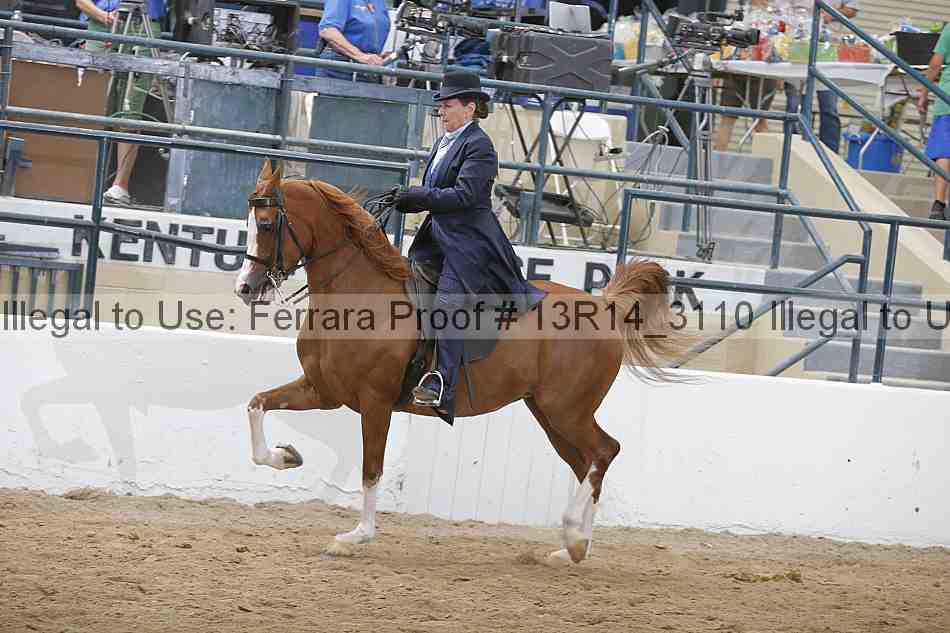 Proof Number 13r14_3110