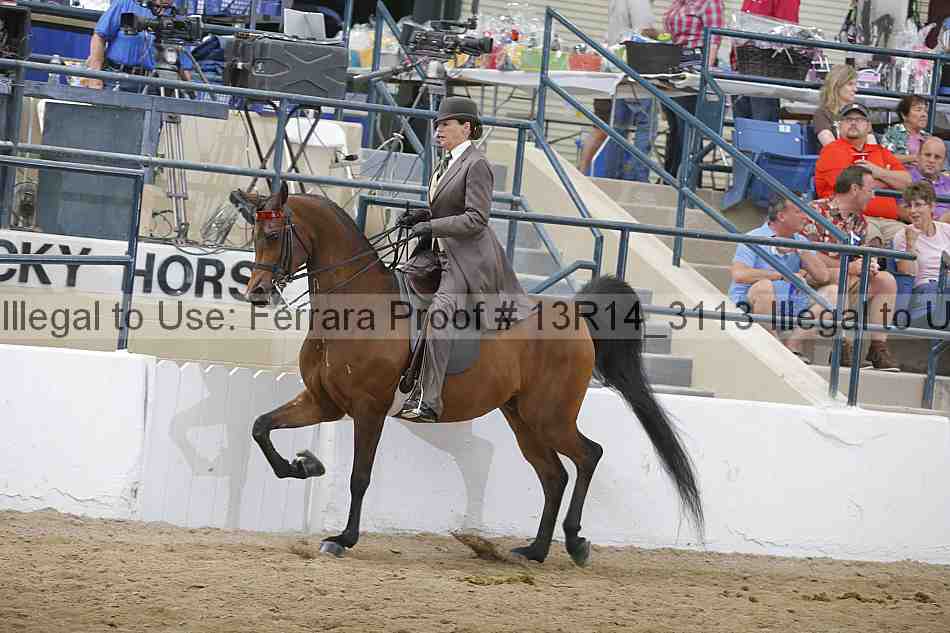Proof Number 13r14_3113
