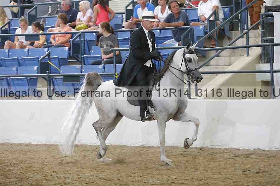 Proof Number 13r14_3116