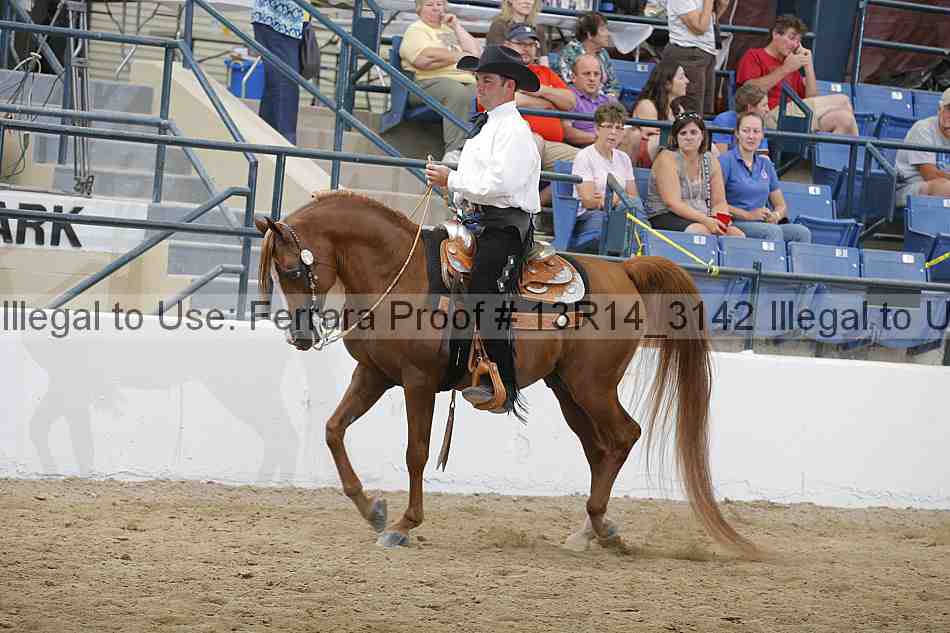 Proof Number 13r14_3142