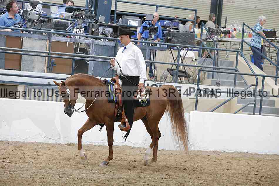 Proof Number 13r14_3146