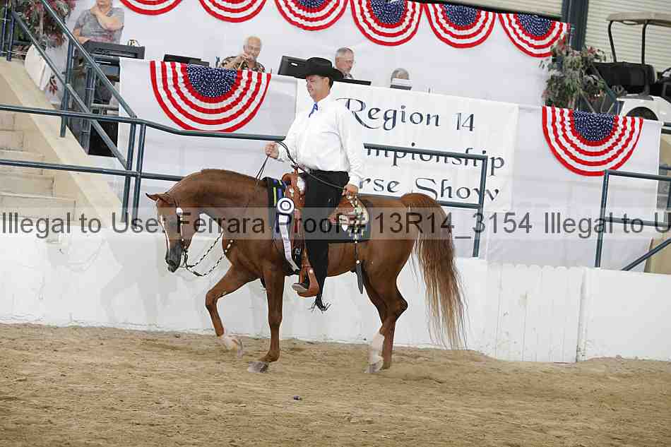 Proof Number 13r14_3154