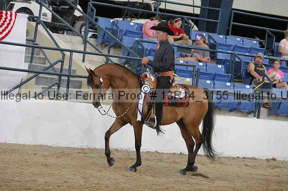 Proof Number 13r14_3155