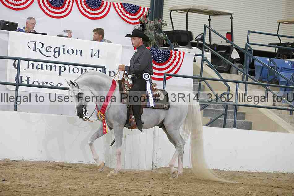 Proof Number 13r14_3162