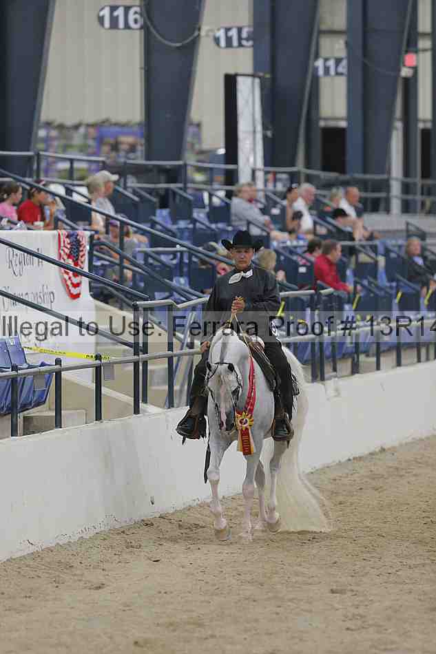 Proof Number 13r14_3163