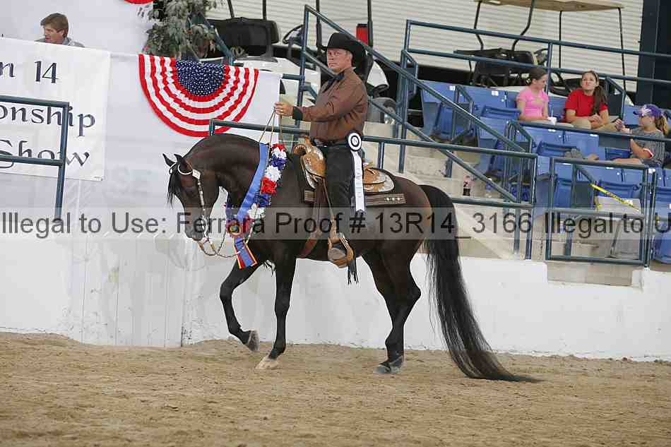 Proof Number 13r14_3166