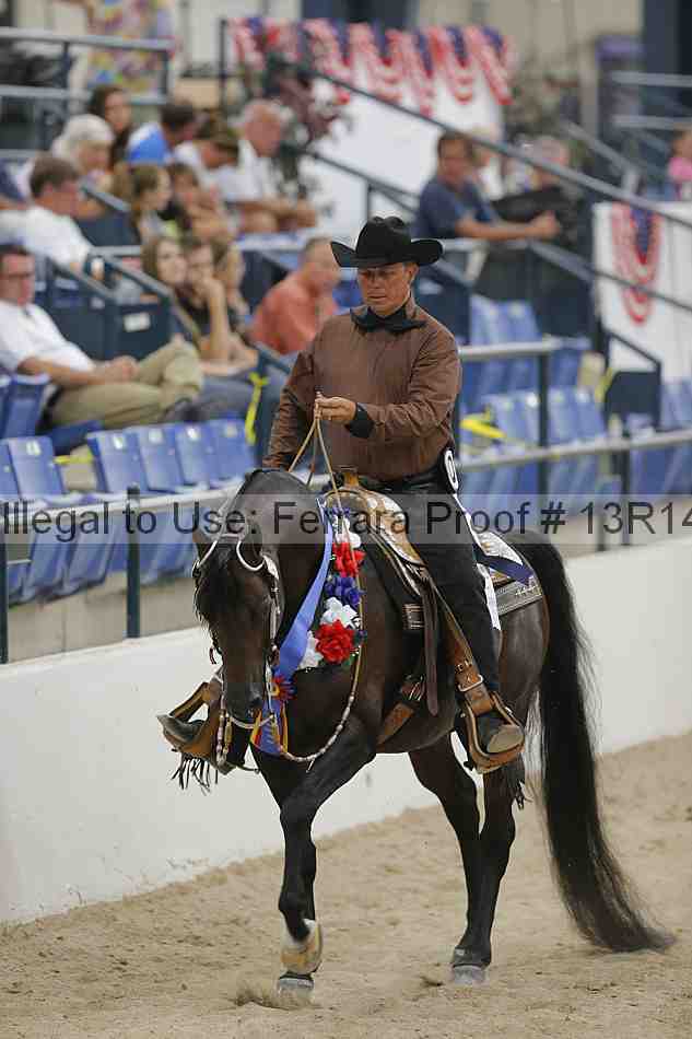 Proof Number 13r14_3170