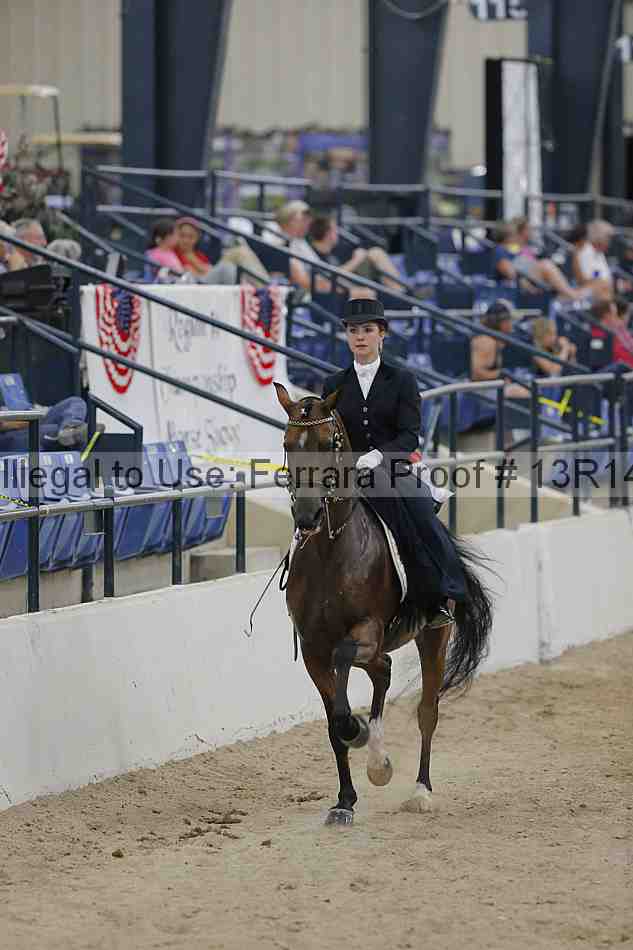 Proof Number 13r14_3195