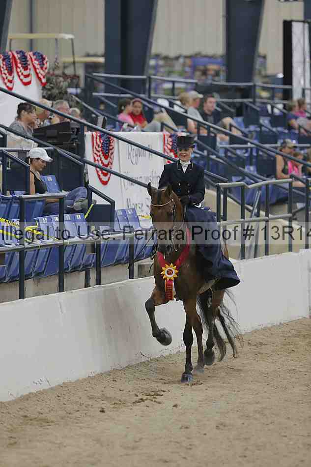 Proof Number 13r14_3207