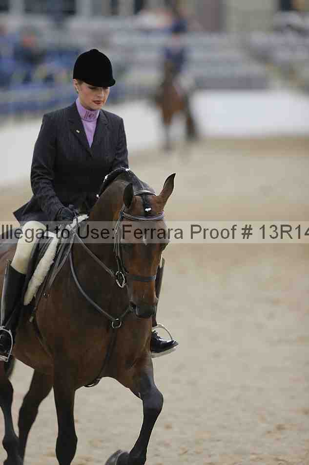 Proof Number 13r14_3238