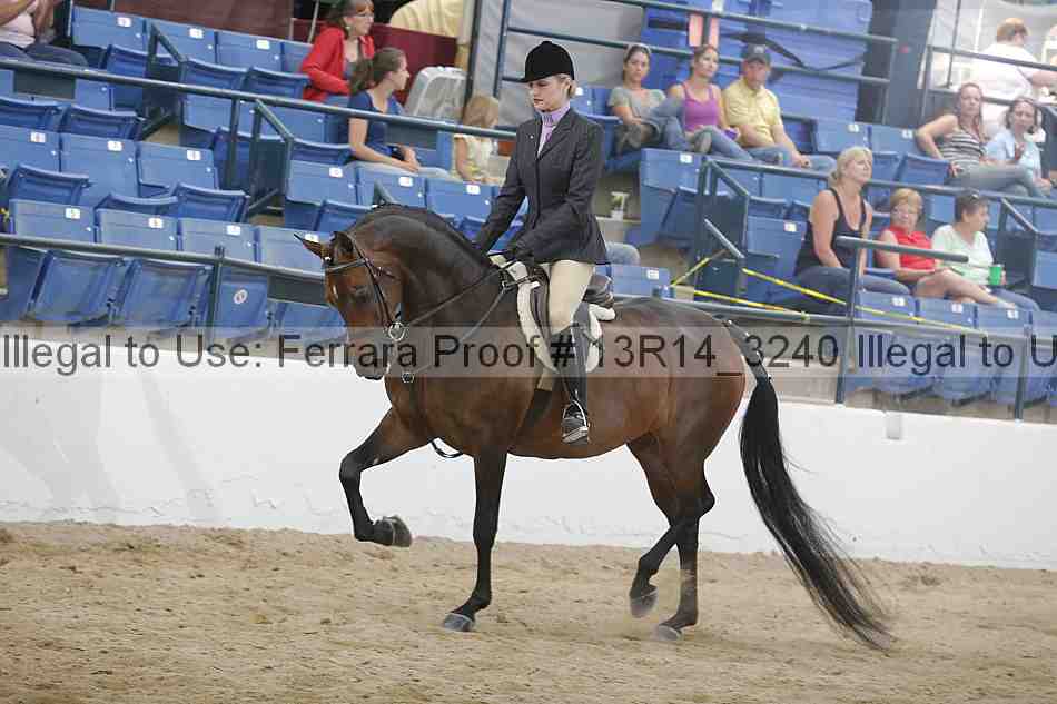 Proof Number 13r14_3240