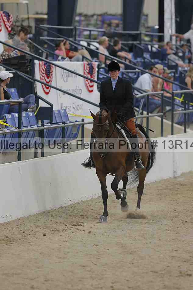 Proof Number 13r14_3246