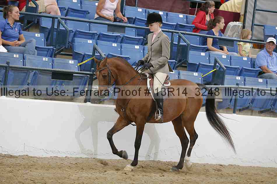 Proof Number 13r14_3248