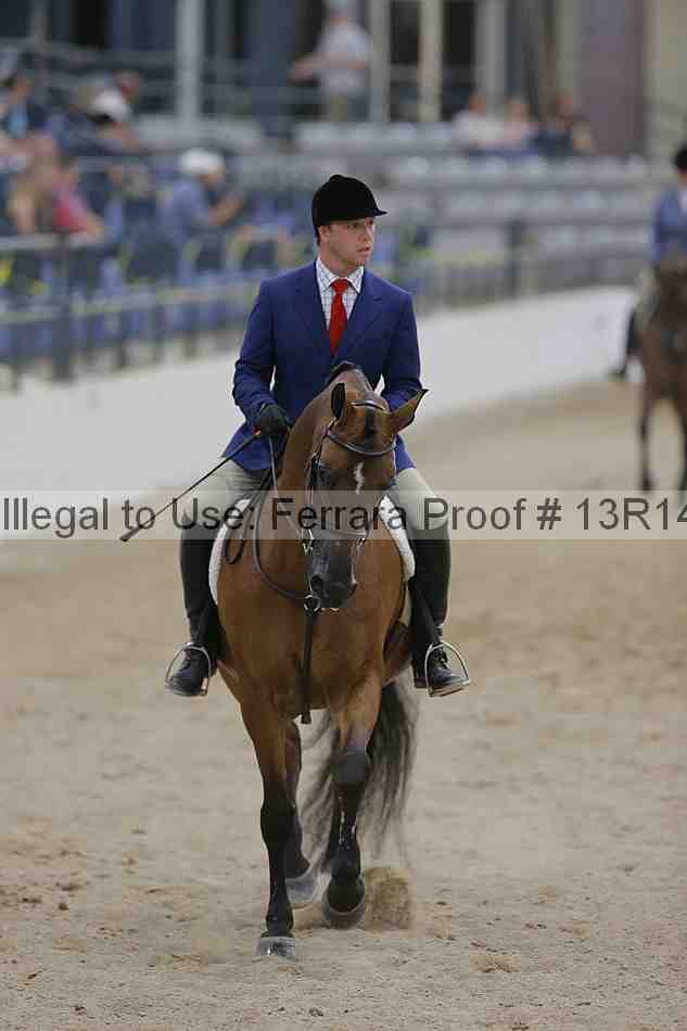 Proof Number 13r14_3249