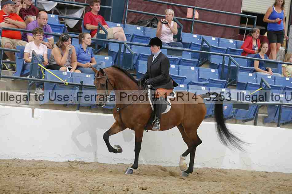 Proof Number 13r14_3253