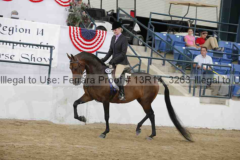 Proof Number 13r14_3263