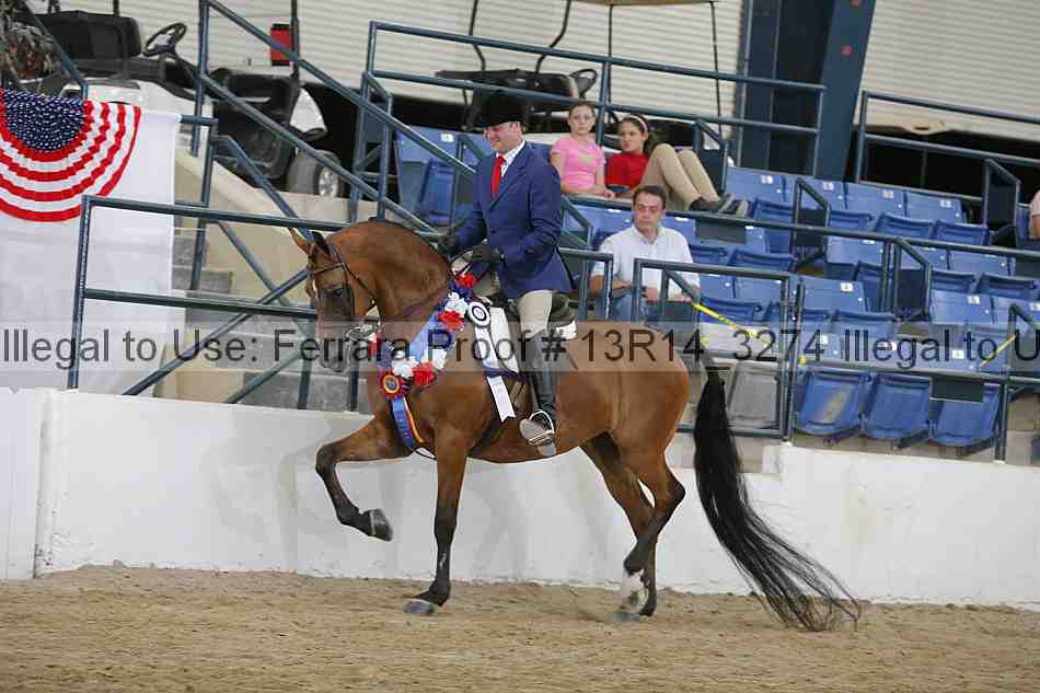 Proof Number 13r14_3274