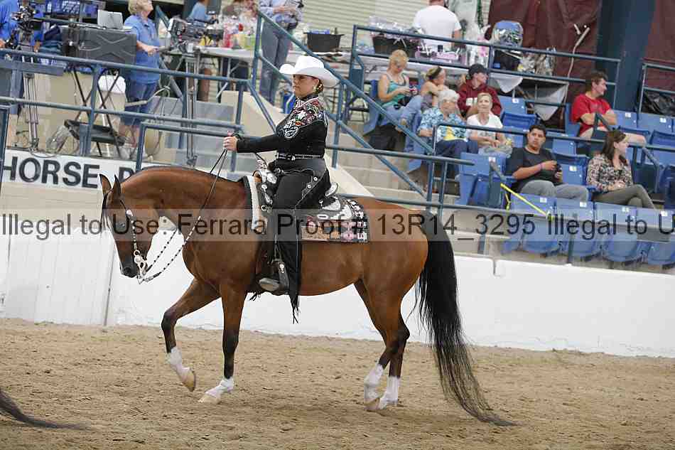 Proof Number 13r14_3295