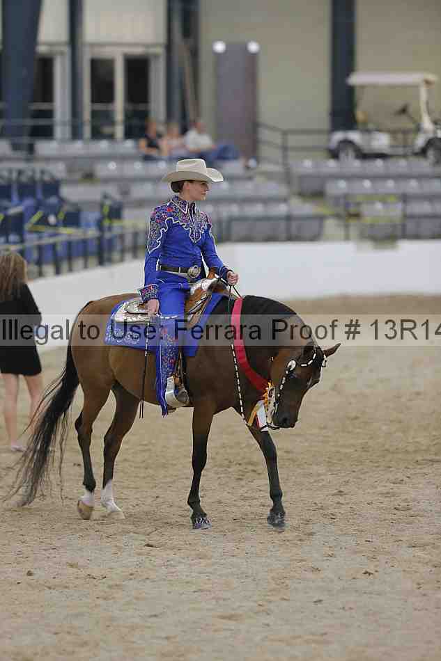 Proof Number 13r14_3315