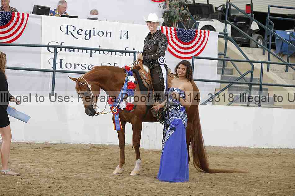 Proof Number 13r14_3318