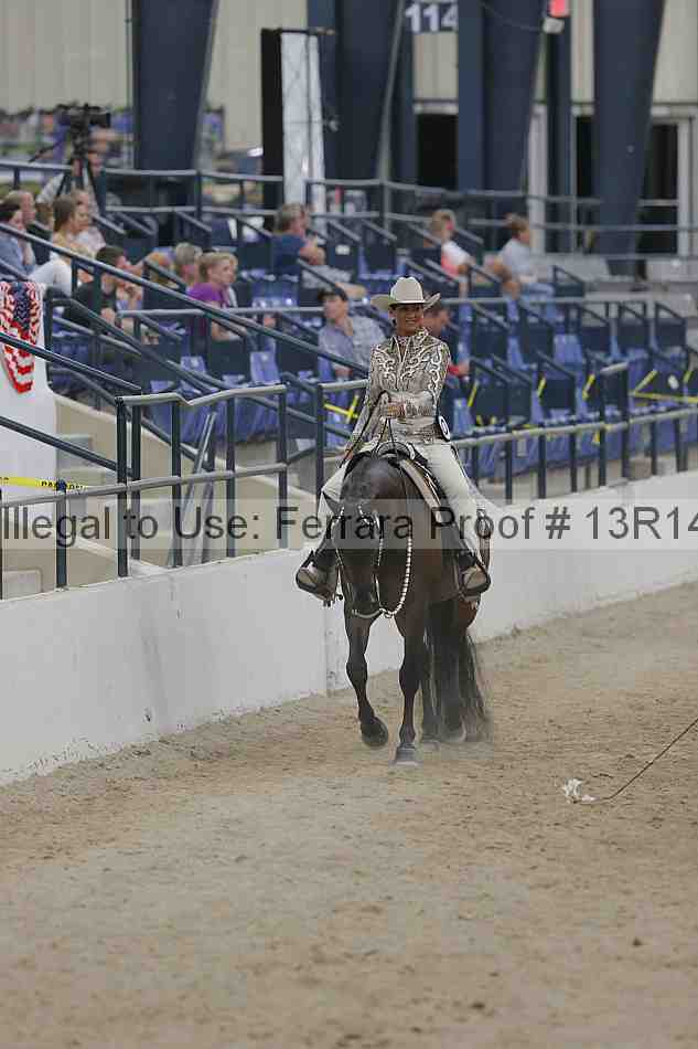 Proof Number 13r14_3327