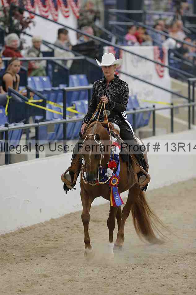 Proof Number 13r14_3339