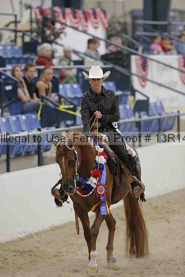 Proof Number 13r14_3340