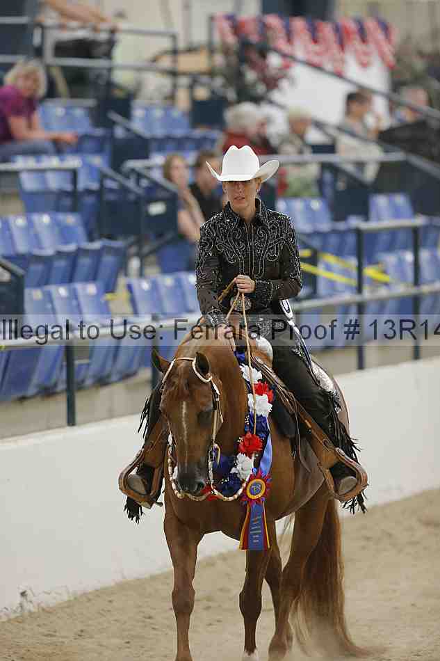 Proof Number 13r14_3341
