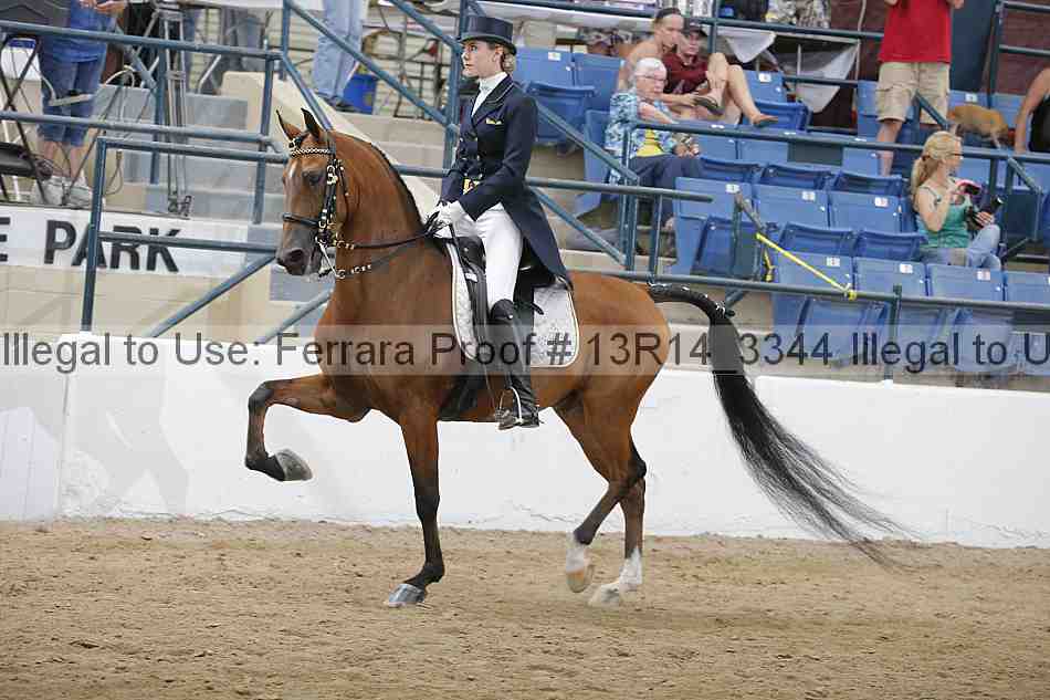 Proof Number 13r14_3344