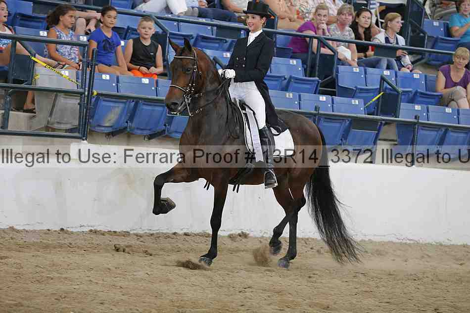 Proof Number 13r14_3372
