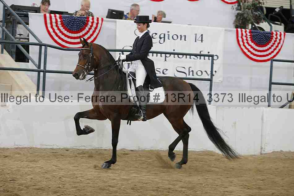 Proof Number 13r14_3373