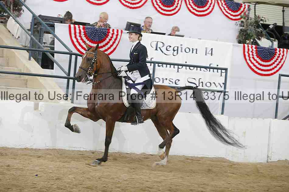 Proof Number 13r14_3375