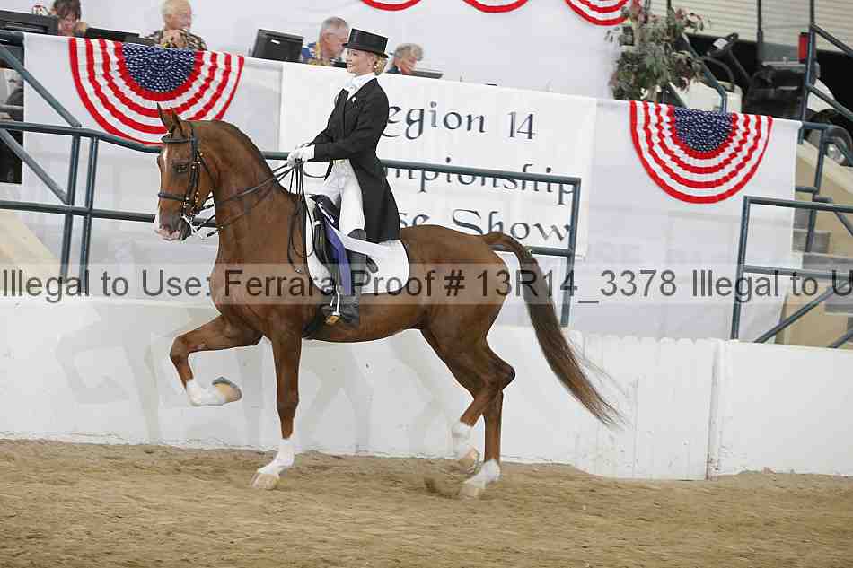 Proof Number 13r14_3378